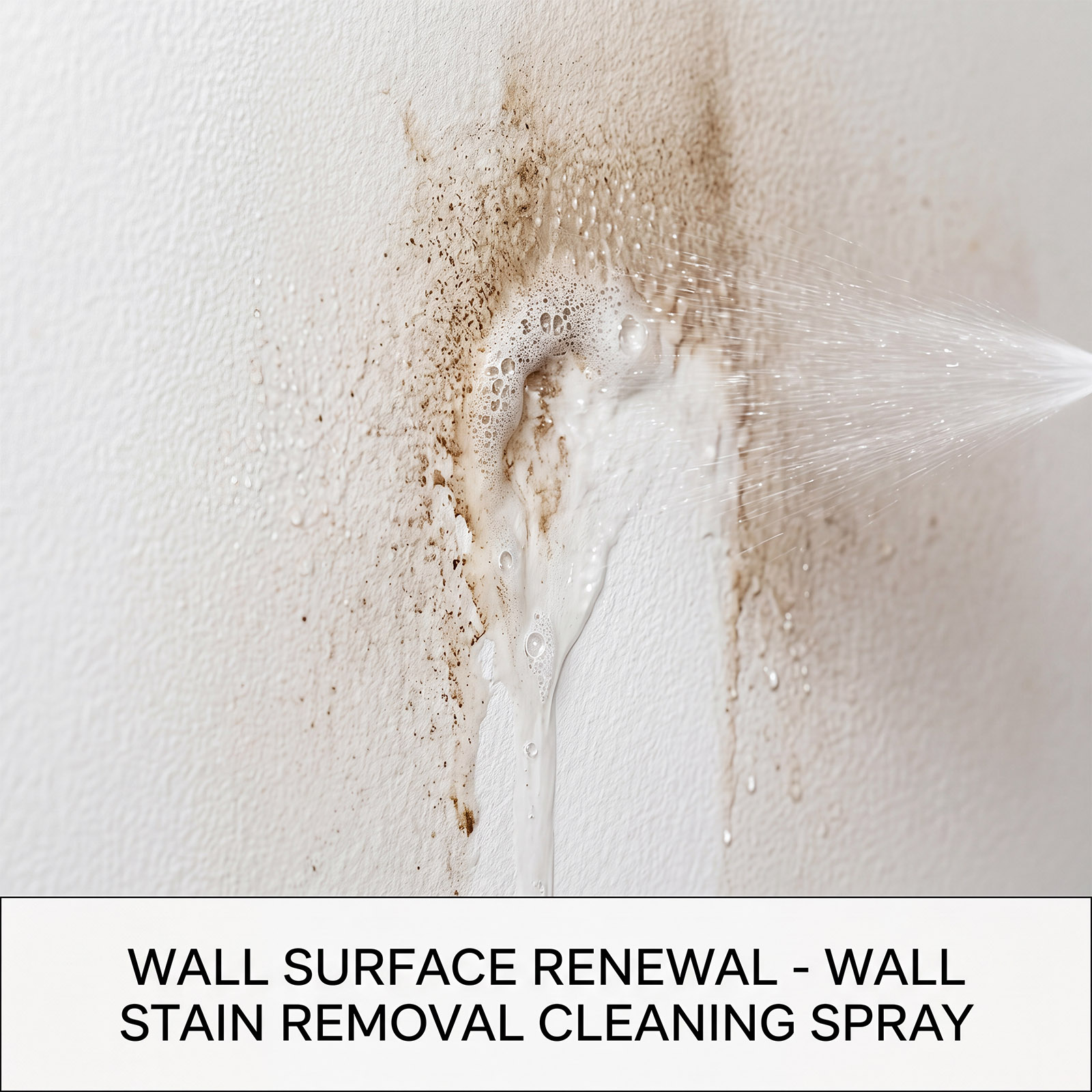Schimmelentferner Wandspray-Re – Home Bathroom Cleaning Bewertung und Preis